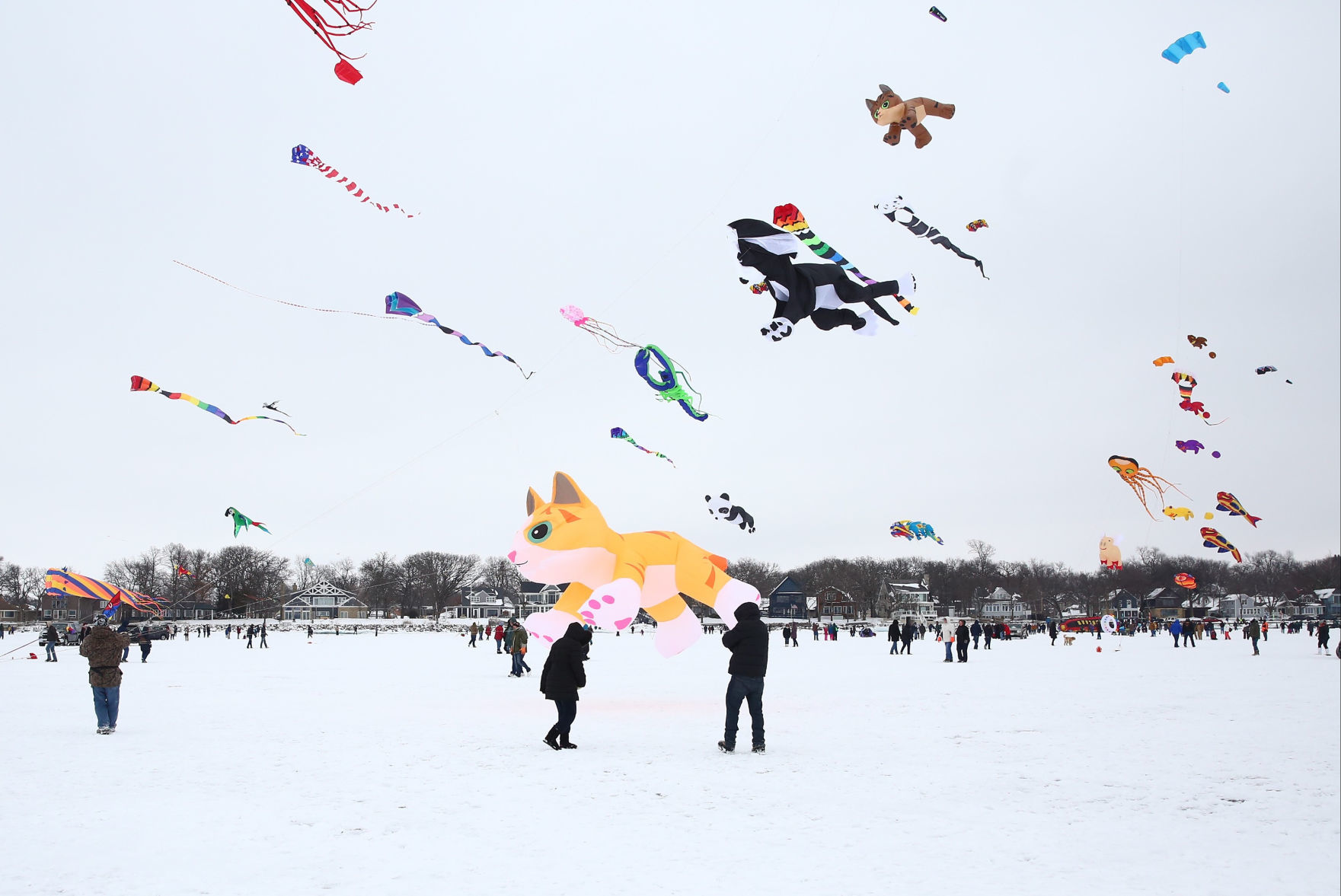 Color the Wind 24